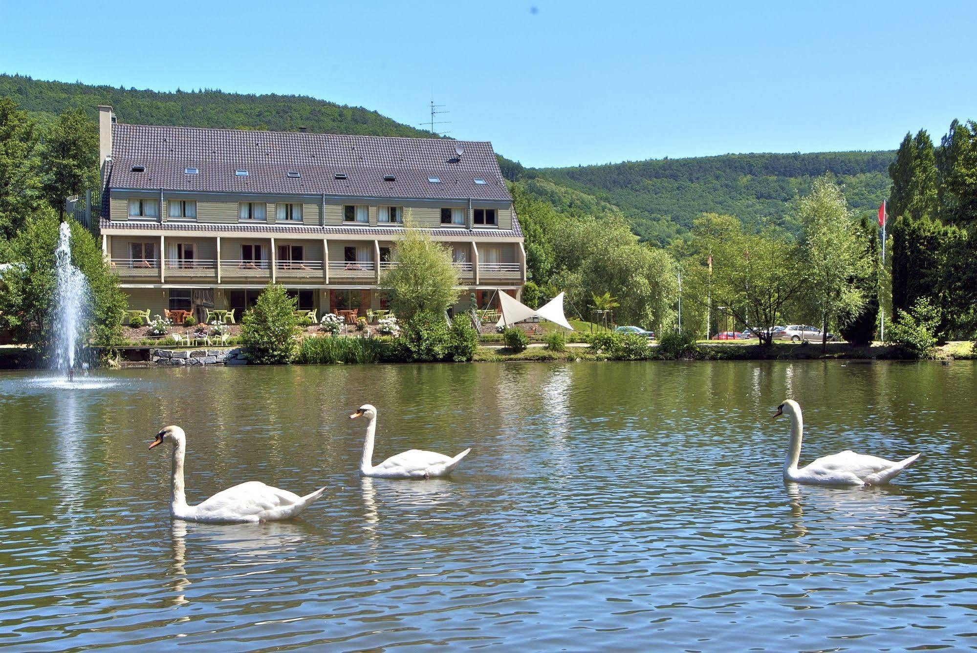 Hotel Les Rives Guebwiller Ngoại thất bức ảnh